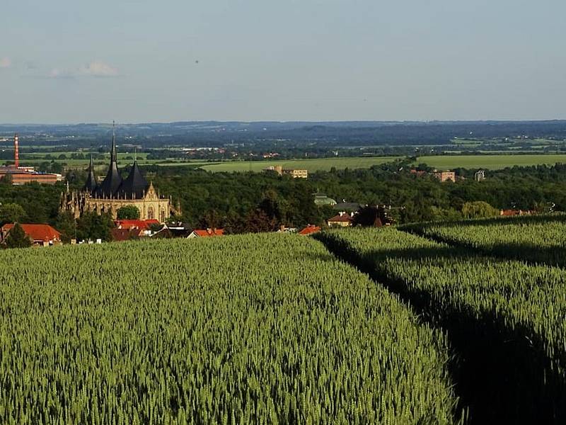 Vycházka Soni Schwarzové u topolů u Přítok.