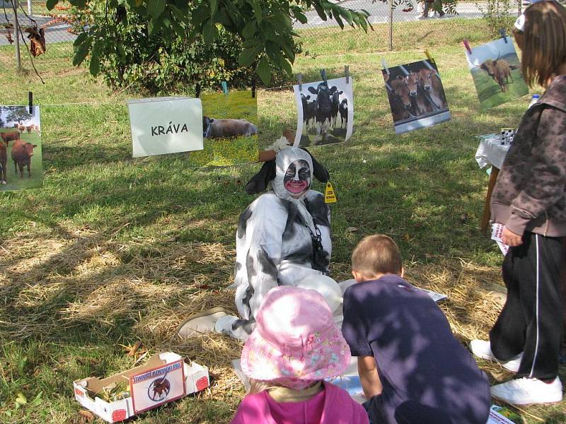 Pohádkové hřiště.