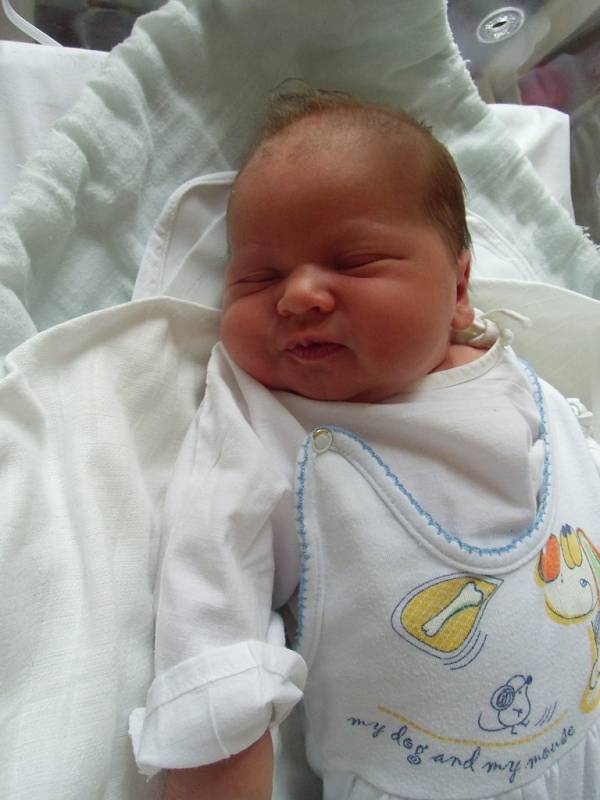 Helena Červinková se narodila 19. ledna v Čáslavi. Vážila 3950 gramů a měřila 50 centimetrů. Doma v Petrovicích ji přivítali maminka Veronika a tatínek Jan.   