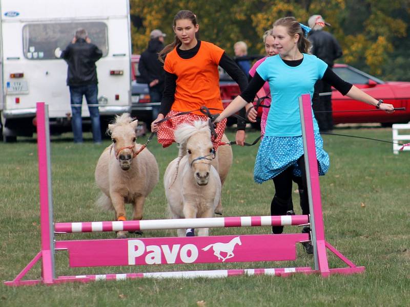 Jezdecké slavnosti na Kačině 2015