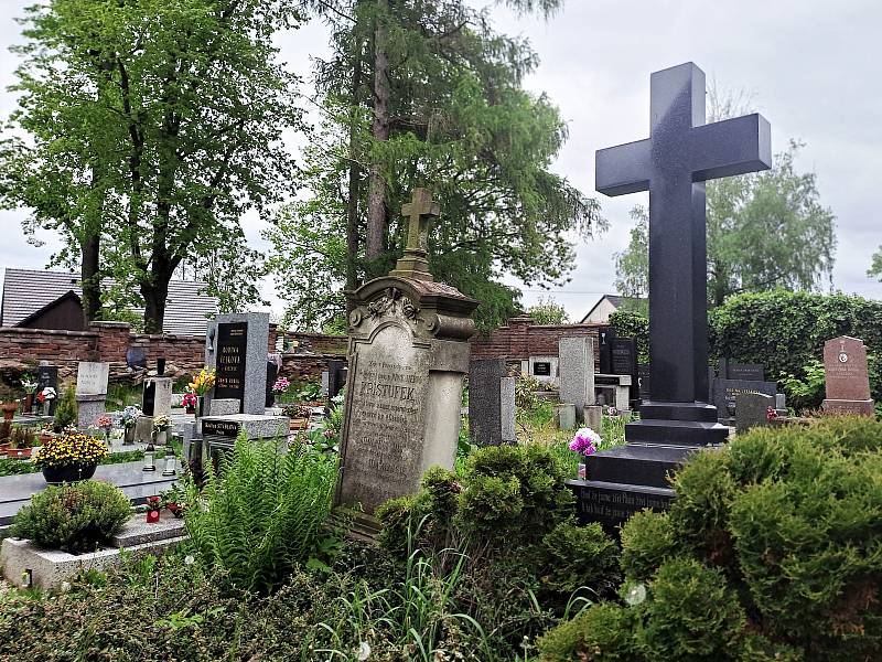 Jaro na hřbitově v Opatovicích u Zbýšova.