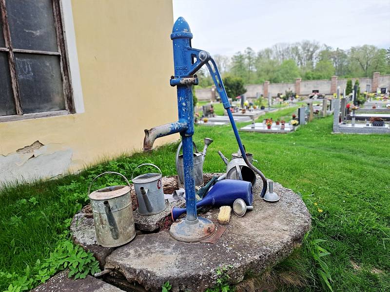 Jaro na hřbitově v Drobovicích.