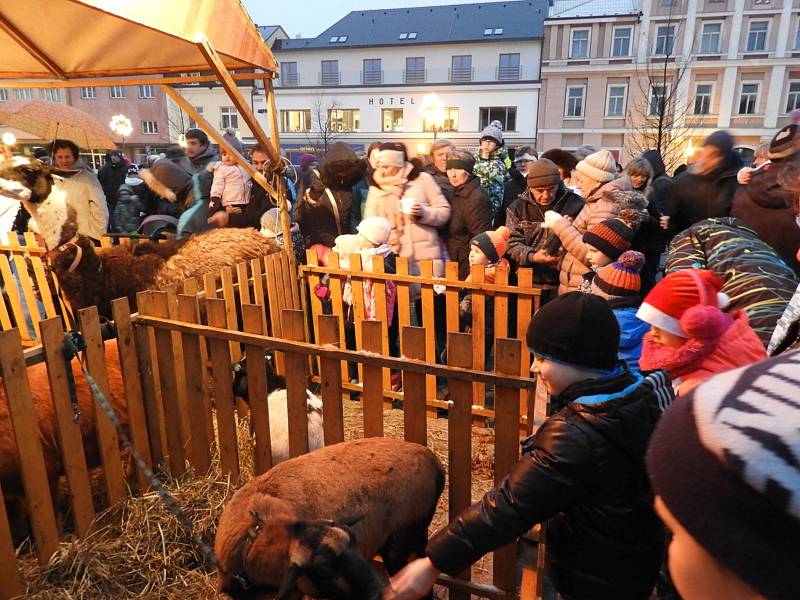 Rozsvícení vánočního stromu na Žižkově náměstí v Čáslavi.