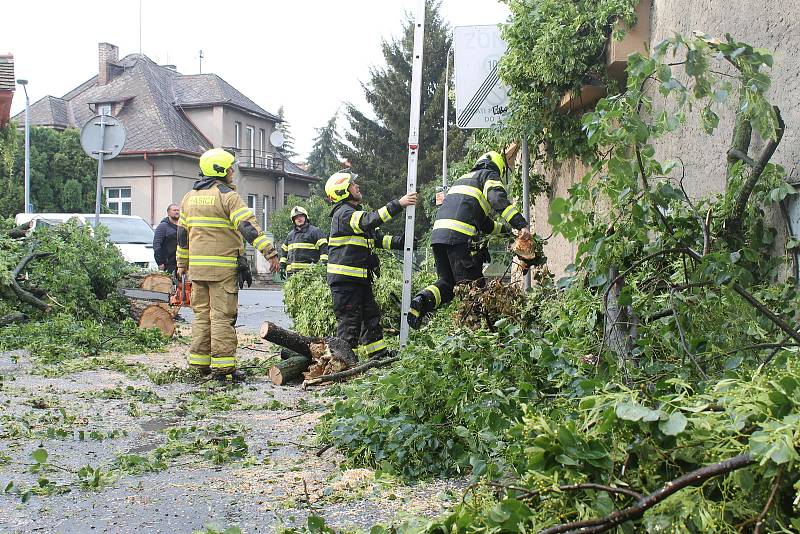 Vichr shodil strom na roku Kouřimské a Vojtěšské ulice.