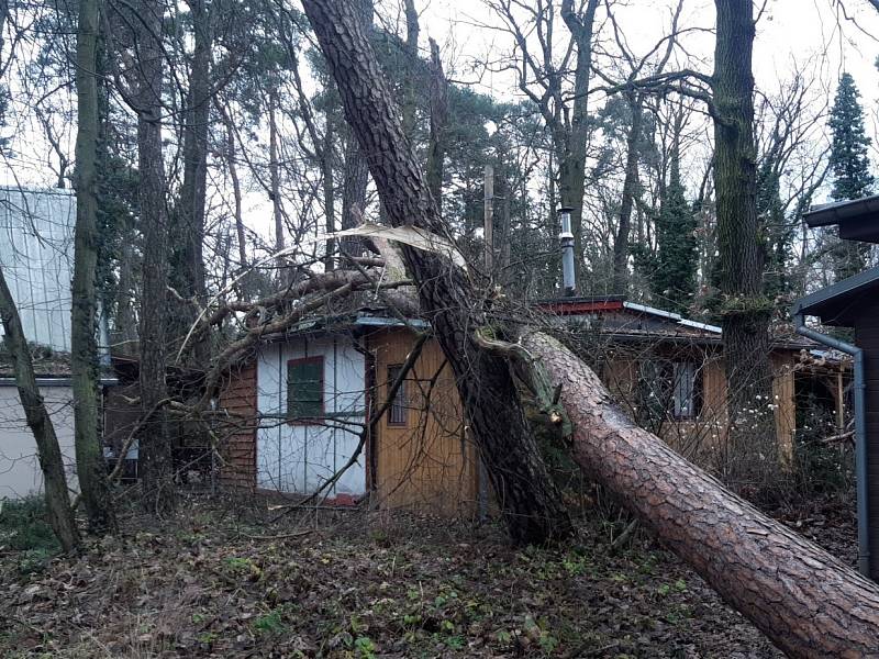 Padlý strom na chatu.