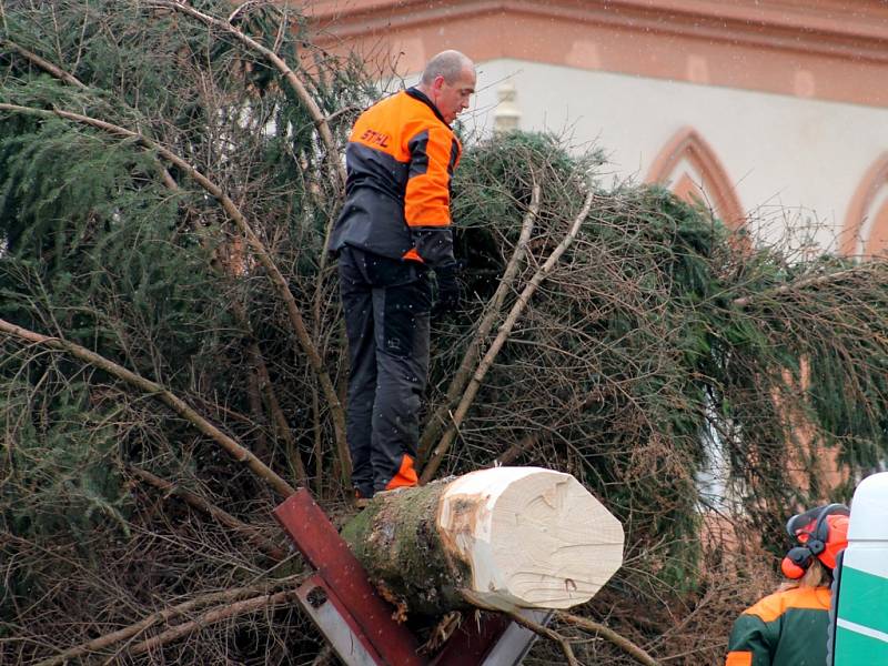 Stavění vánočního stromu na Palackého náměstí v Kutné Hoře 23. listopadu 2015