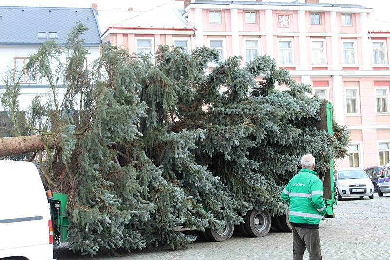 Vánoční strom přivezli na čáslavské náměstí ze Zbraslavic.