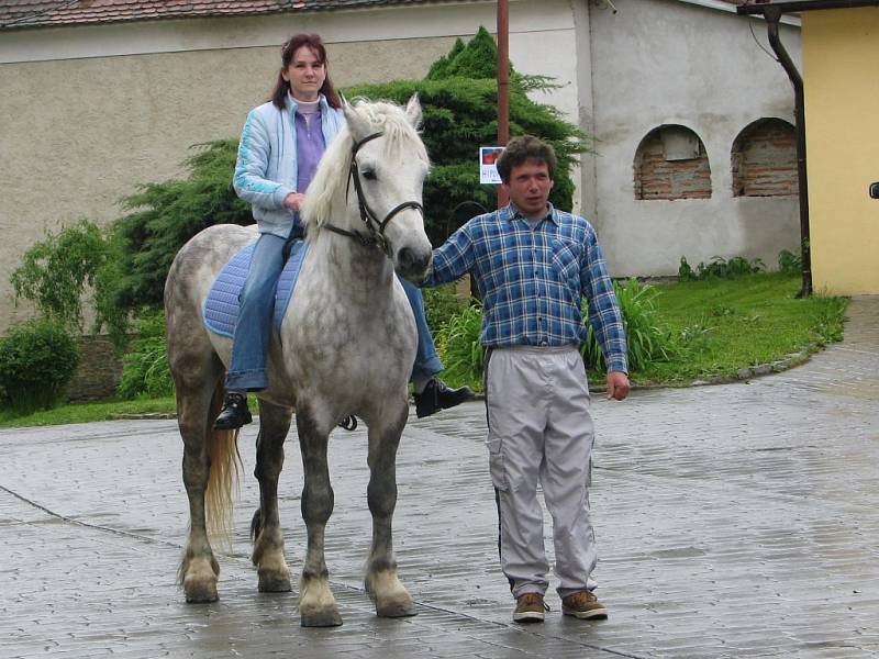 Den otevřených dveří v Domově Na Hrádku v Červeném Hrádku. Ukázka hiporehabilitace.