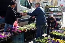 Prodej jarních květin v Šultysově ulici v Kutné Hoře.