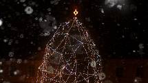 Sněhové vločky přivítaly rozsvícený vánoční strom.