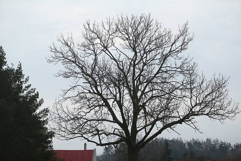 Poznáte obec na Kutnohorsku?