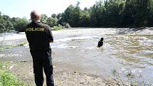 Policejní pátrání po dvou pohřešovaných mladících u jezu na řece Sázavě mezi Otryby a Soběšínem.