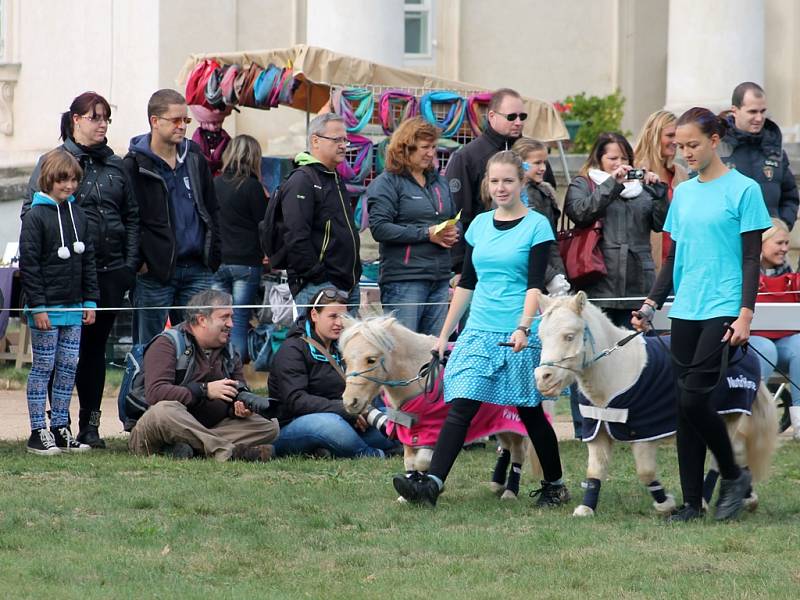 Jezdecké slavnosti na Kačině 2015