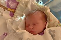 Viktorie Mikešová se narodila 2. listopadu 2021 v 15:53 hodin v čáslavské porodnici. Vážila 3000 gramů a měřila 49 centimetrů. Domů do Tupadel si ji odvezli maminka Vendula, tatínek Karel a dvouletý bráška Kája.