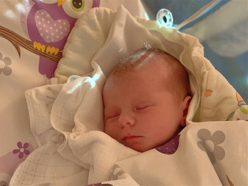 Viktorie Mikešová se narodila 2. listopadu 2021 v 15:53 hodin v čáslavské porodnici. Vážila 3000 gramů a měřila 49 centimetrů. Domů do Tupadel si ji odvezli maminka Vendula, tatínek Karel a dvouletý bráška Kája.
