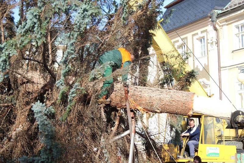 Vánoční strom přivezli na Palackého náměstí v Kutné Hoře ve čtvrtek 23. listopadu.