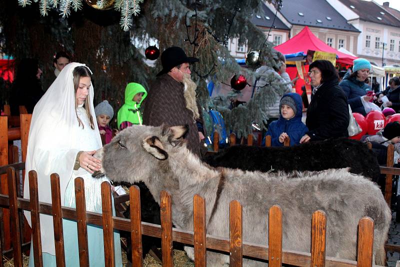 V Kutné Hoře se rozsvítil vánoční strom.