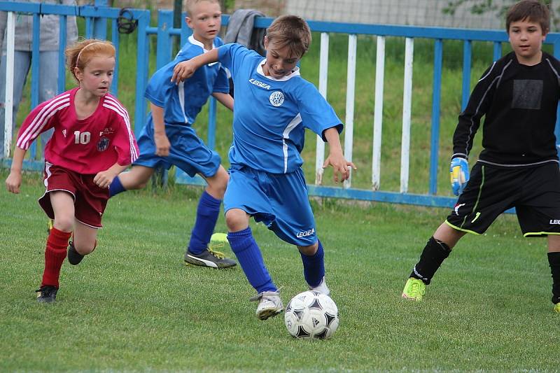 Fotbalový mistrovský turnaj mladších přípravek v Malíně: TJ Sokol Malín - FK Čáslav C 11:6.