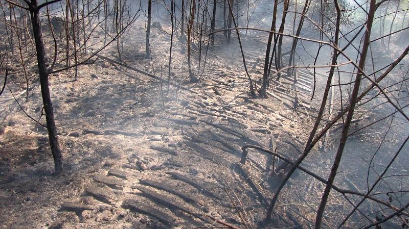 S požárem dvou hektarů lesa bojovalo přes padesát hasičů.