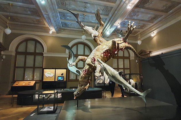 Stehenní kost i model zatím jediného dinosaura nalezeného na českém území a pojmenovaného Burianosaurus augustai najdete v Národním muzeu v Praze.