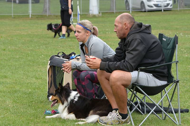 Agility zkoušky se konaly v Kutné Hoře.