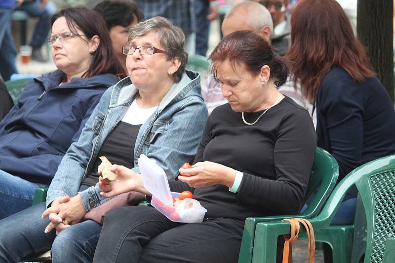 Ve Vlašském dvoře se odehrál festival Kutnohorská Kocábka.