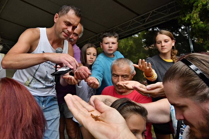 Kácovský jarmark hostil i soutěž v pojídání švestkových knedlíků. Vítězem se stal Jaroslav Němec.