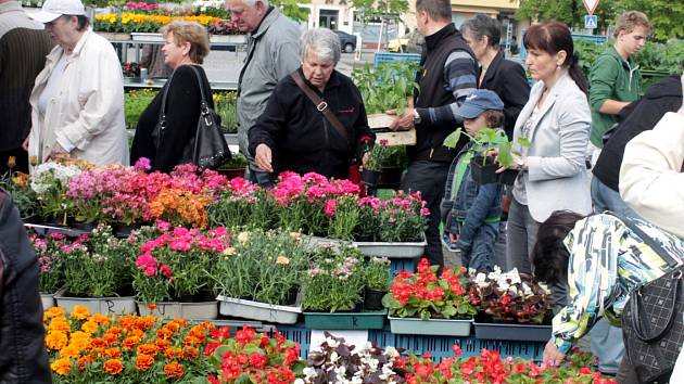 Trhy v Čáslavi na náměstí Jana Žižky z Trocnova 14. května 2016