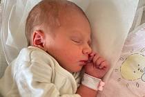 Sofie Hamza Lakhdhar se narodila 29. září 2022 v 17.05 hodin v čáslavské porodnici. Narodila se s porodní váhou 3490 gramů a mírou 49 centimetrů . Doma v Církvici u Kutné Hory jí přivítali maminka Barbora, tatínek Hassine a tříletý bráška Youssef.