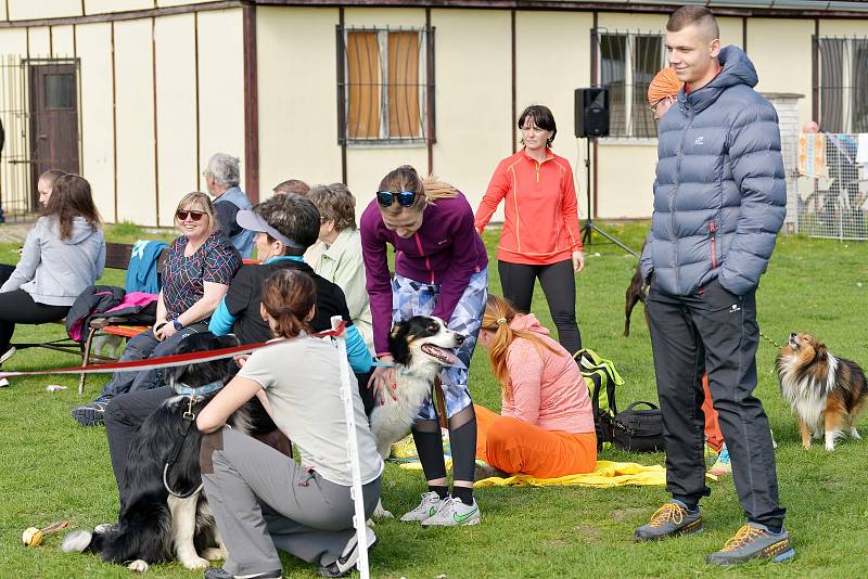 Agility závody 'O kutnohorský groš' na cvičáku v Kutné Hoře.