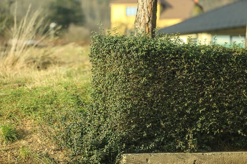 Fotokvíz: Poznáte obec na Kutnohorsku?