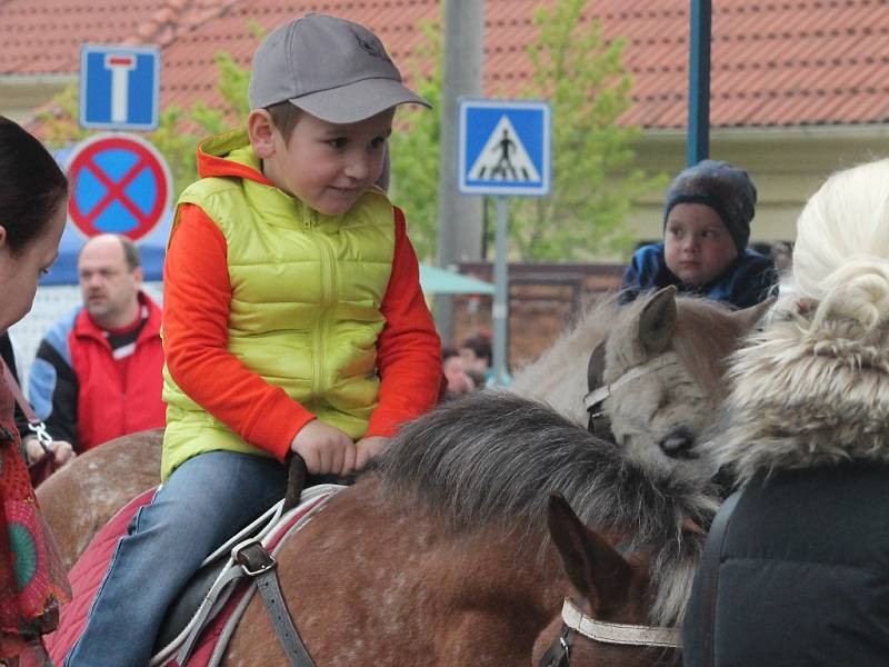 Velikonoční pondělí na Sedlecké pouti 2014