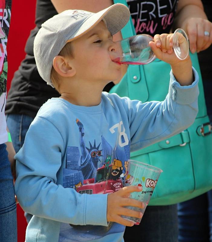 Vinobraní na Kačině přilákalo i letos davy návštěvníků