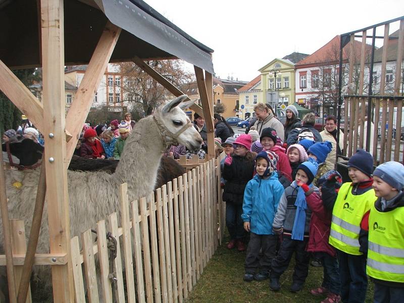 Dopoledne na vánočních trzích v Čáslavi