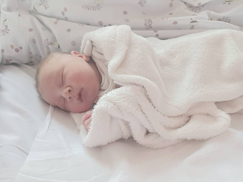 Dominik Lebduška se narodil 24. dubna 2022 ve 22.04 hodin v čáslavské porodnici. Vážil 3450 gramů a měřil 50 centimetrů. Domů do Heřmanova Městce si ho odvezli maminka Denisa, tatínek Milan a tříletý bráška Milánek.
