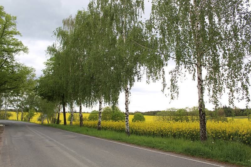 Fotokvíz: Poznáte obec na Kutnohorsku?