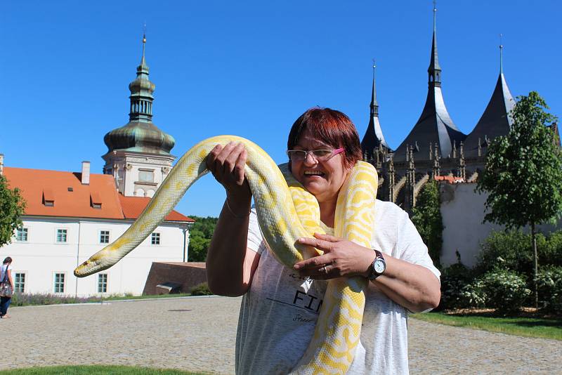 Sousedský jarmark  v Kutné Hoře