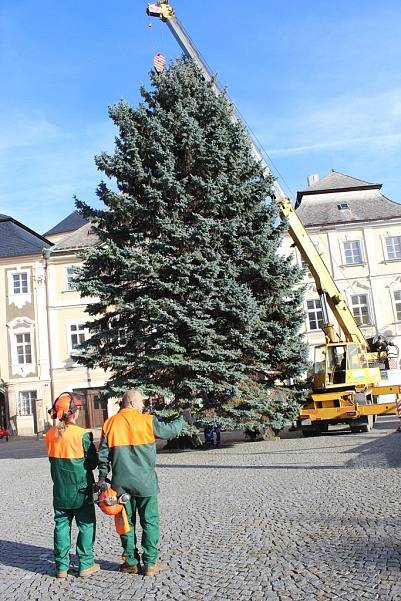 Vánoční strom přivezli na Palackého náměstí v Kutné Hoře ve čtvrtek 23. listopadu.