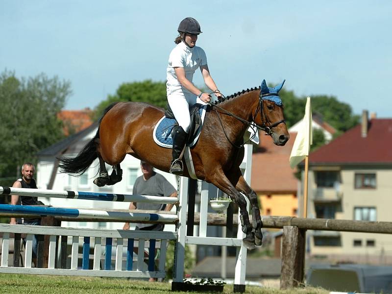 Parkurové závody v Přítokách. 7.6.2014