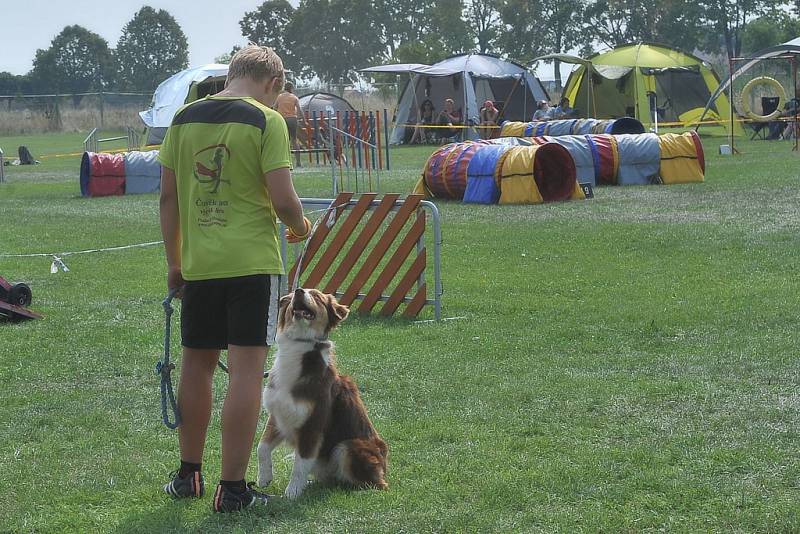 V areálu kynologického klubu se konala soutěž v agility. 