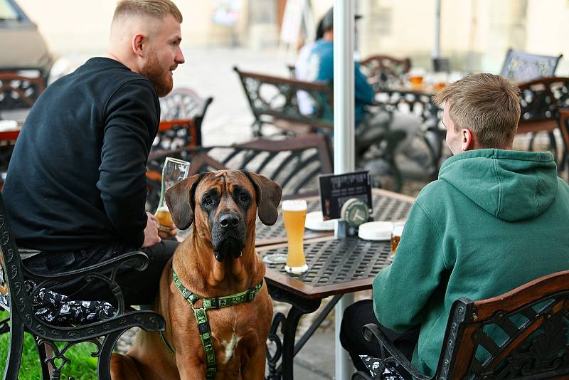 V Kutné Hoře se opět fandilo.