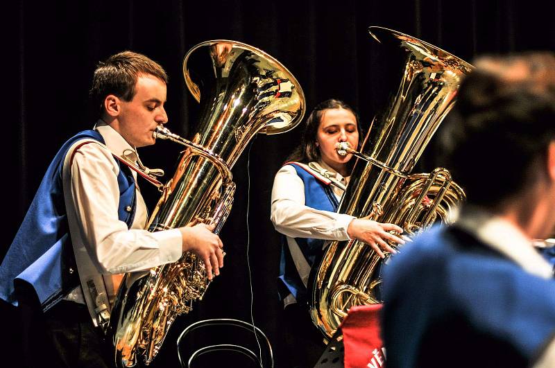 Koncert s Josefem Zímou v Dusíkově divadle.