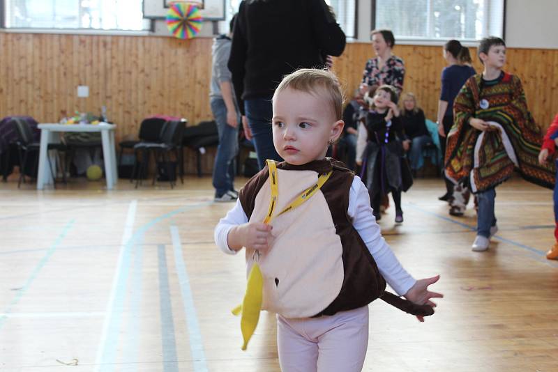 Dětský karneval uspořádal TJ Sokol Žehušice.