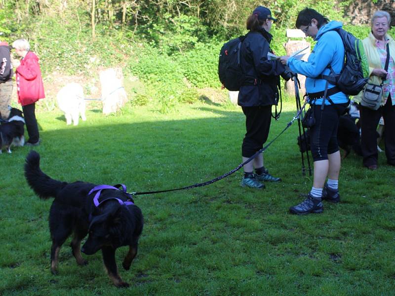 Dogtrekkingový závod Okolo Kutné Hory, 5.ročník