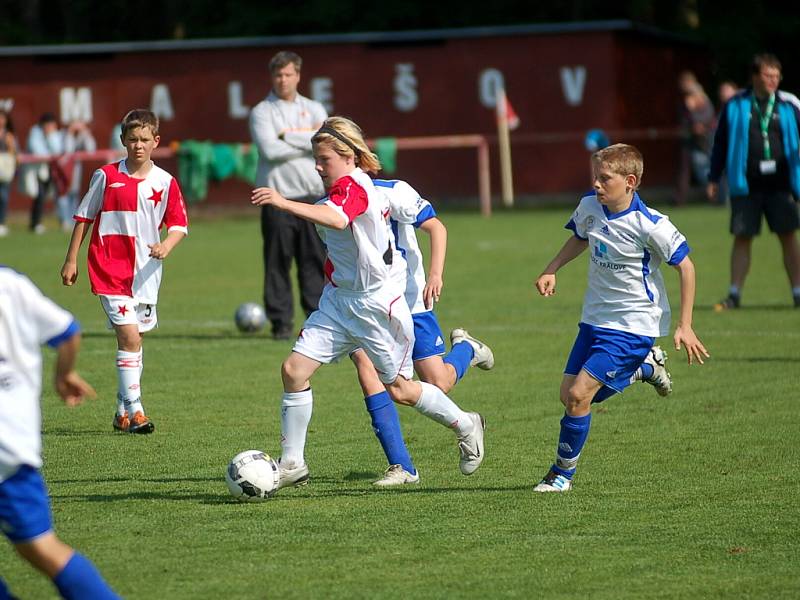 14. ročník Memoriálu Františka Lhotáka v Malešově, 8. května 2012.