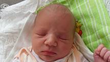 Kristýna Čistá se narodila 21. ledna v Čáslavi. Vážila 3250 gramů a měřila 50 centimetrů. Doma v Čáslavi ji přivítali maminka Brigita, tatínek Tomáš a sestra Austéja.    005