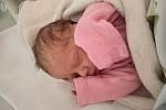 Rozálie Matějková se narodila v čáslavské nemocnici 14.listopadu 2022 v 10,12 hod. Narodila se s porodní váhou 2450 g a mírou 46 cm. Ve Starkoči bude holčička bydlet s maminkou Barborou, tatínkem Lubošem a sestřičkou Lucinkou.