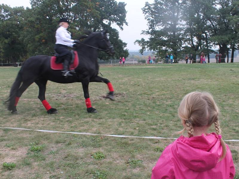 Jezdecké slavnosti na Kačině 2015