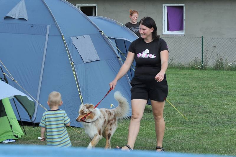 V areálu kynologického klubu se konala soutěž v agility. 