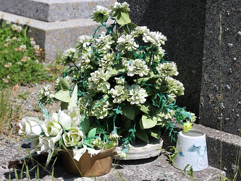 Jaro na hřbitově v Suchdole.